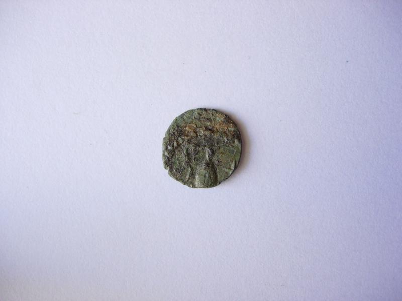 Minimus_1