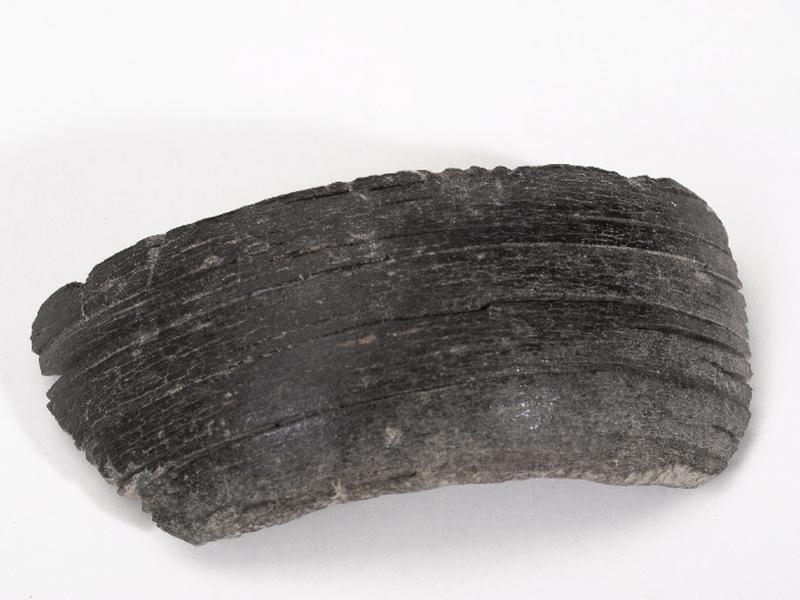 Bracelet (fragment)_0