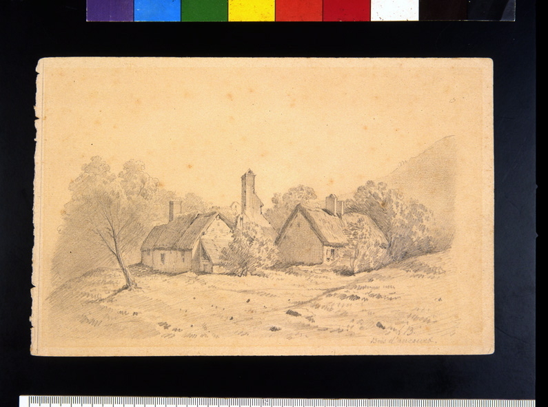 Bois d'Aucourt, Léopold Baraquin, 19e siècle