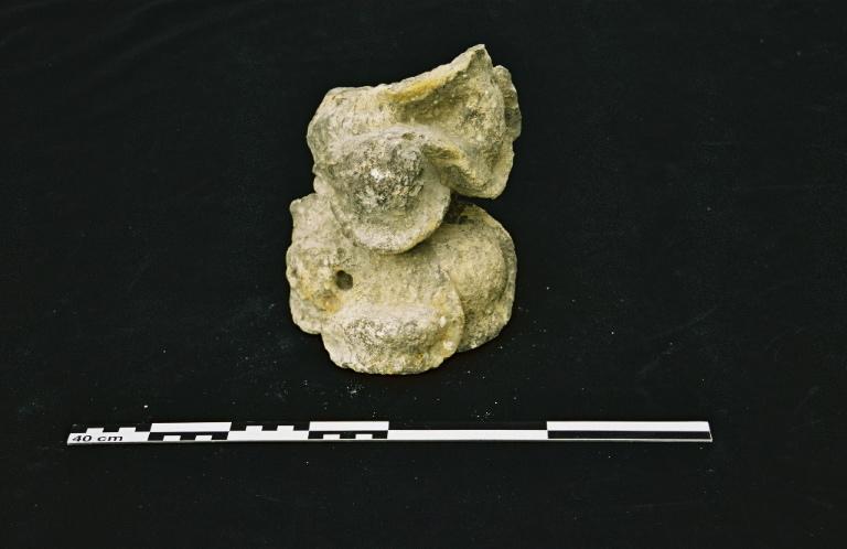 élément végétal;élément d'architecture;feuille;fragment