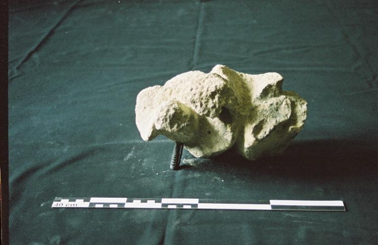 Crochet, élément d'architecture, fragment_0