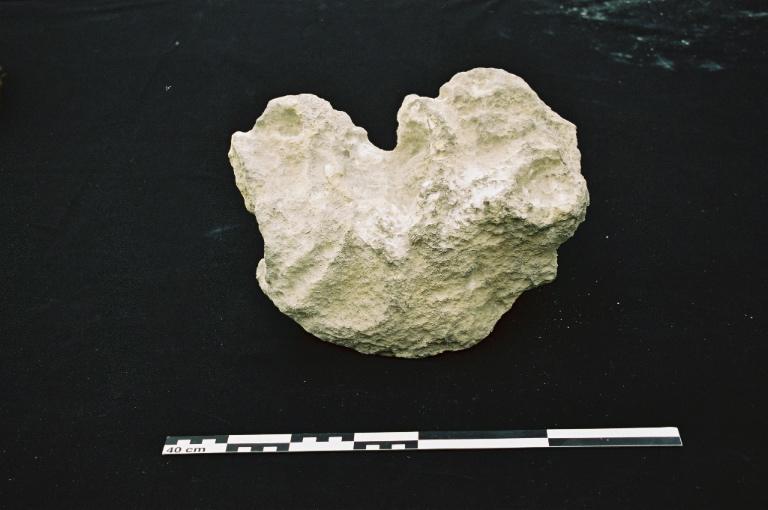 Gargouille, fragment_1