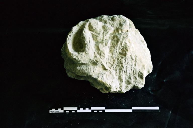 Gargouille, fragment_1