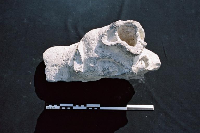 Gargouille, fragment_0