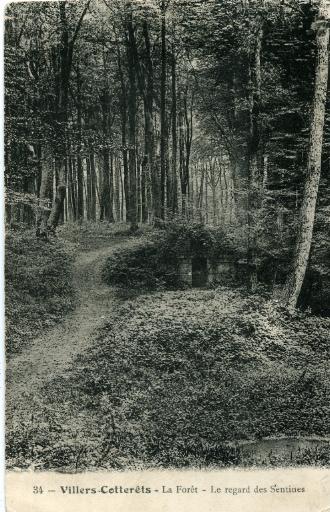 34 - Villers- Cotterêts - La Forêt - Le regard des Sentines_0