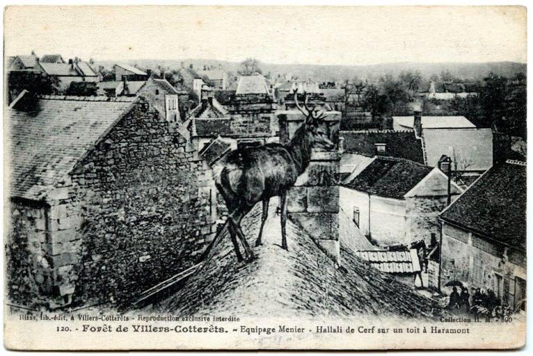 120. Forêt de Villers-Cotterêts. - Equipage Menier - Hallali de Cerf sur un toit à Haramont_0