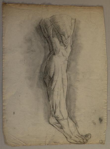 Jambe d'homme, Marie Nicolas, 3e quart 19e siècle