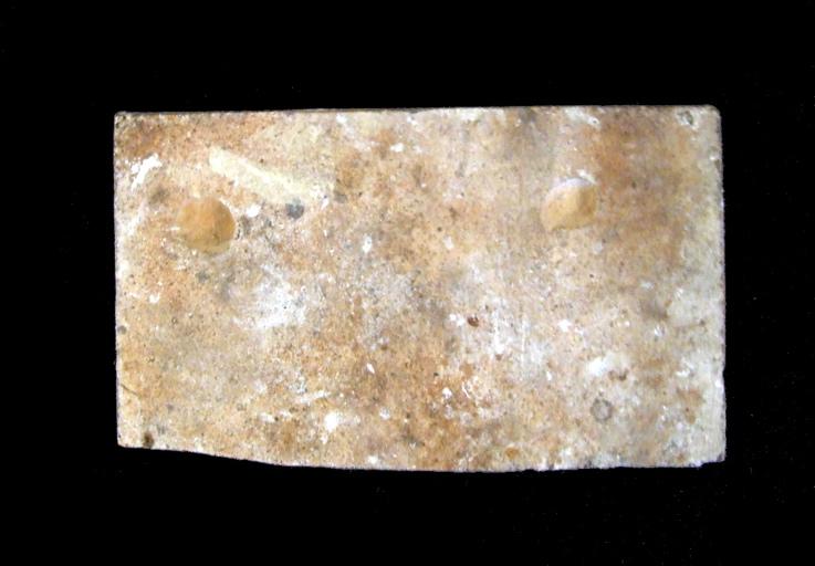 Carreau de revêtement_1