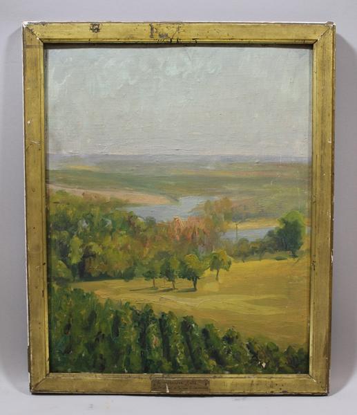 Vignes (titre factice), Eugène Emmanuel Lemercier, 1901-1915