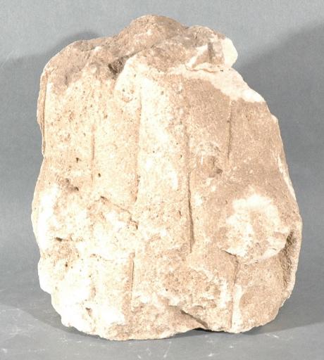 Ex-voto du temple de la forêt d'Halatte, torse d'homme_0