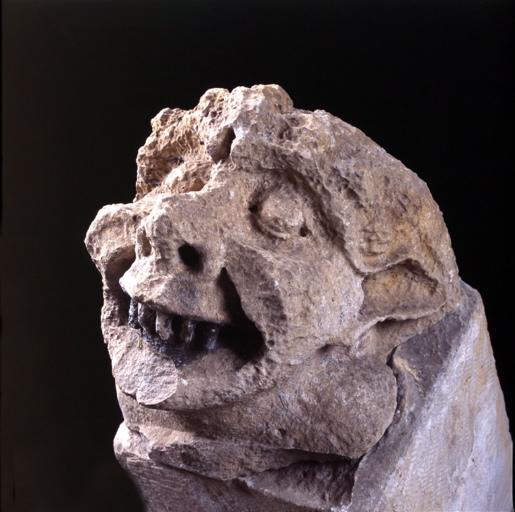 Tête grimaçante (corbeau)_1