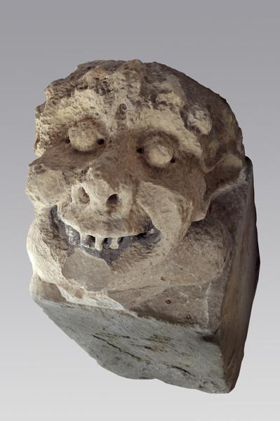 Tête grimaçante (corbeau)_0
