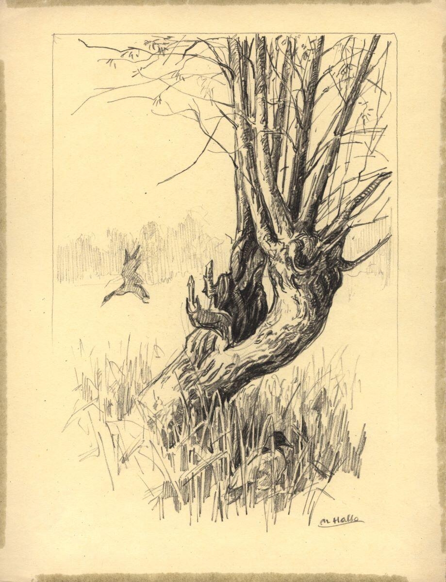 Gibier près d’un arbre (titre factice)_0
