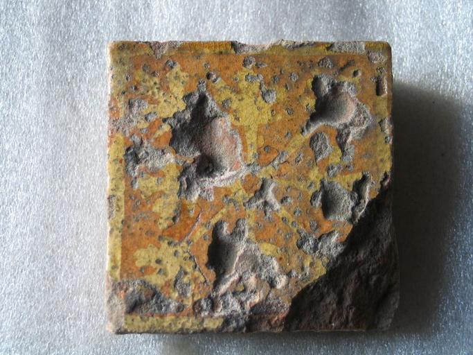 Motif végétal_0