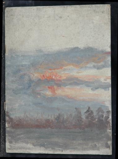 Coucher de soleil sur une forêt_0