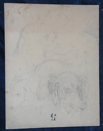 Trois fleurs dans un vase au recto ; quatre études de têtes de chiens au verso_1