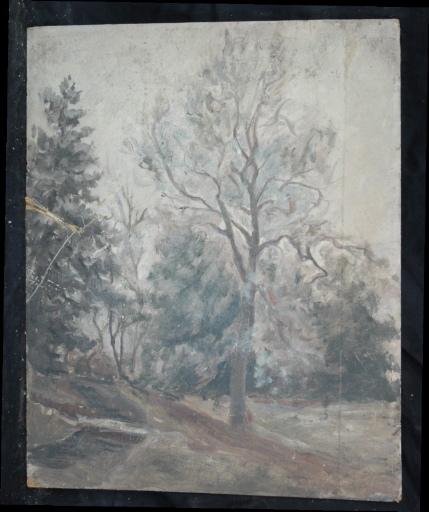 Grand arbre près d'un sentier et d'un bois, Valentine Reyre, 1905-1910