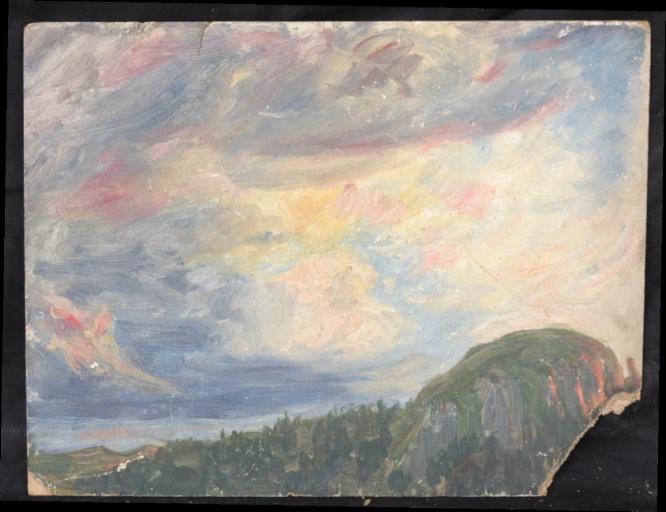 Forêt sous un ciel bleu, rouge et gris_0