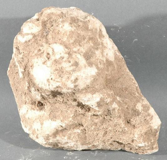 Ex-voto du temple de la forêt d'Halatte, tête_0