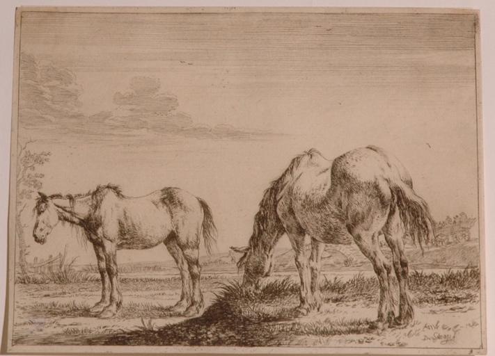 Les deux chevaux au pâturage (titre factice), D Stoop