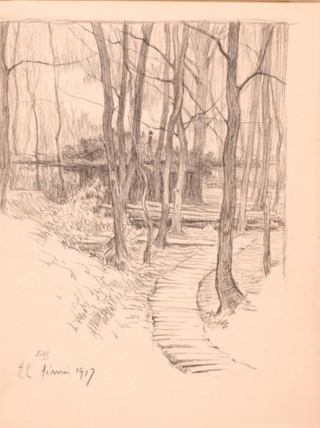 Chemin entre les arbres (titre factice)_0