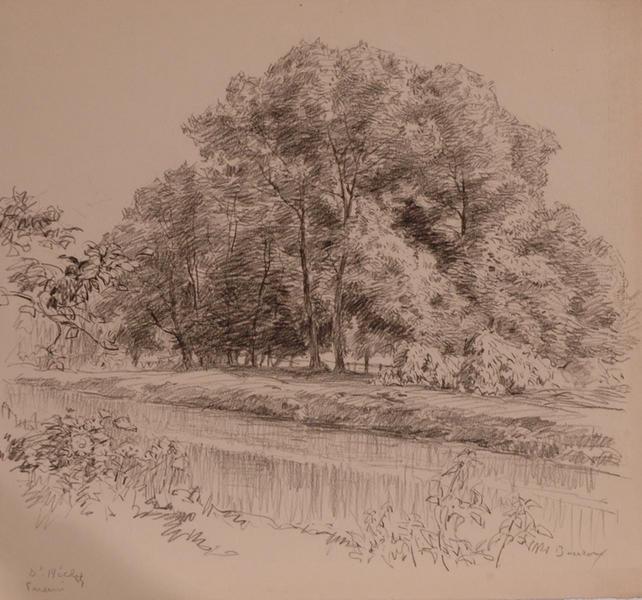 Arbres au bord de la Nonette, Prieuré Saint-Nicolas (titre factice)_0