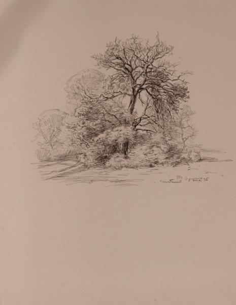 Arbres, Courteuil (titre factice)_0