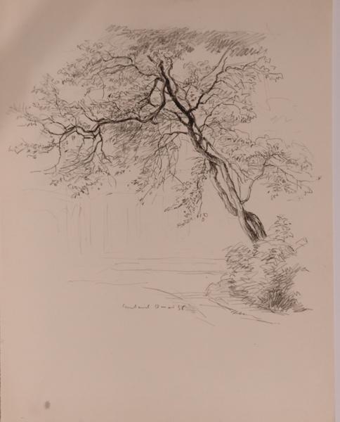 Arbres, Courteuil (titre factice)_0