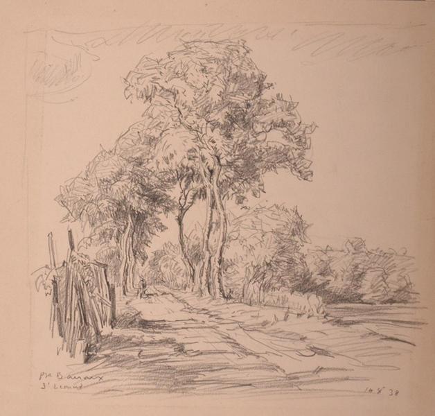 Chemin à Saint-Léonard (titre factice)_0