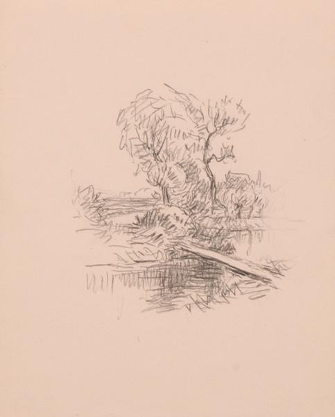 Arbres au bord de la Nonette (titre factice)_0