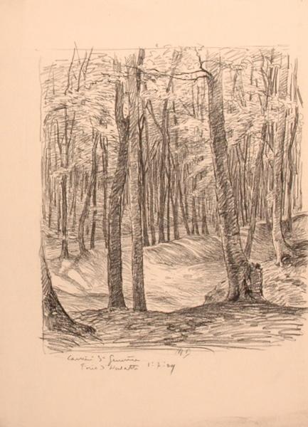 La carrière Sainte-Geneviève, forêt d'Halatte (titre factice)_0