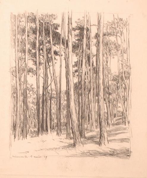 Forêt d'Ermenonville (titre factice)_0