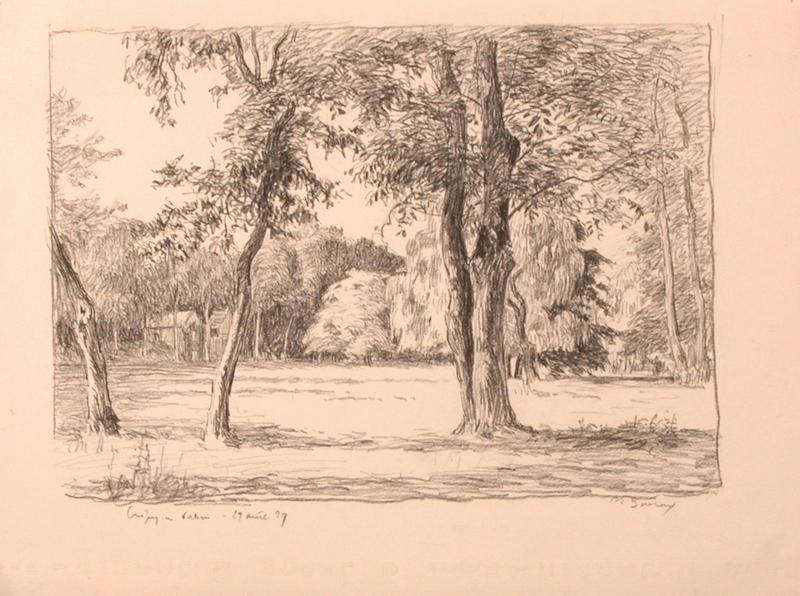 Bois près de Crépy-en-Valois (titre factice)_0