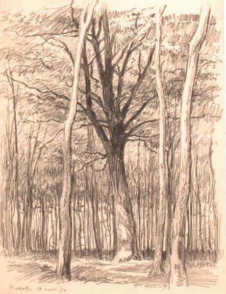 En forêt d'Halatte (titre factice)_0