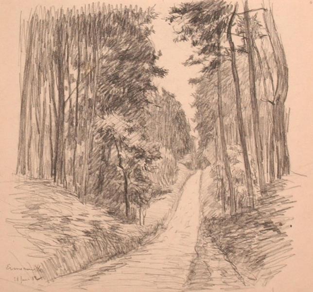 Sentier en forêt d'Ermenonville (titre factice)_0