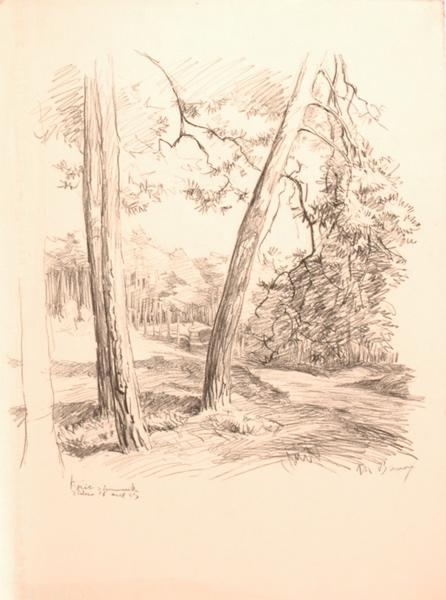 La forêt d'Ermenonville du côté de Thiers (titre factice)_0
