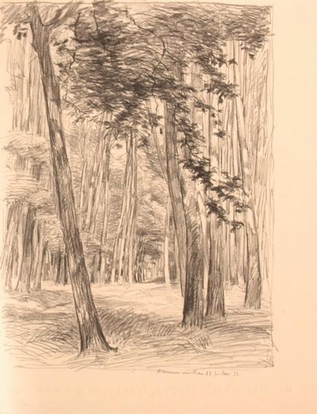 En forêt d'Ermenonville (titre factice)_0