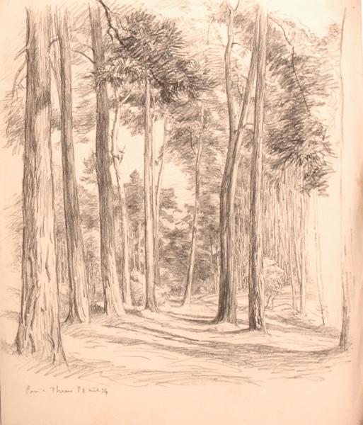 En forêt d'Ermenonville (titre factice)_0