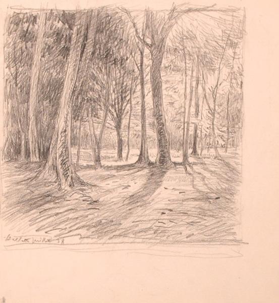 En forêt d'Halatte (titre factice)_0
