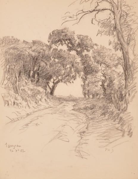 Chemin bordé d'arbres près de Sarzeau (titre factice)_0