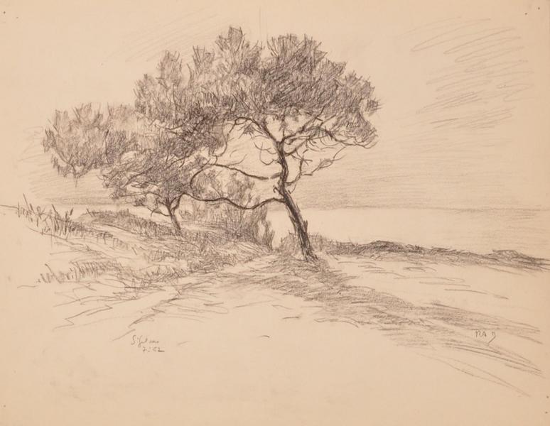 Saint-Gildas, pins au bord de l'eau (titre factice)_0