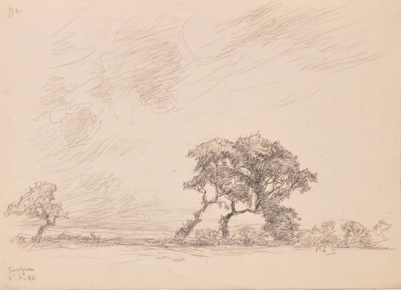 Sarzeau, arbres sous le vent (titre factice)_0