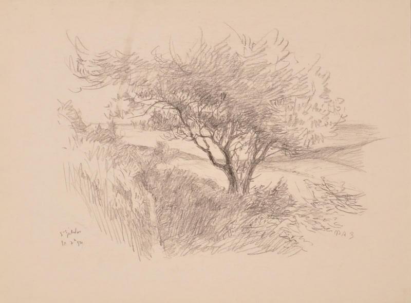 Arbre à Saint-Gildas (titre factice)_0