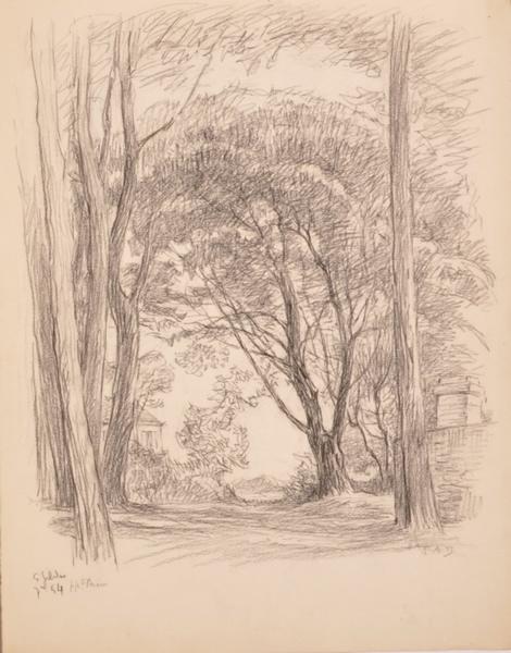 Saint-Gildas, maison dans les arbres (titre factice)_0