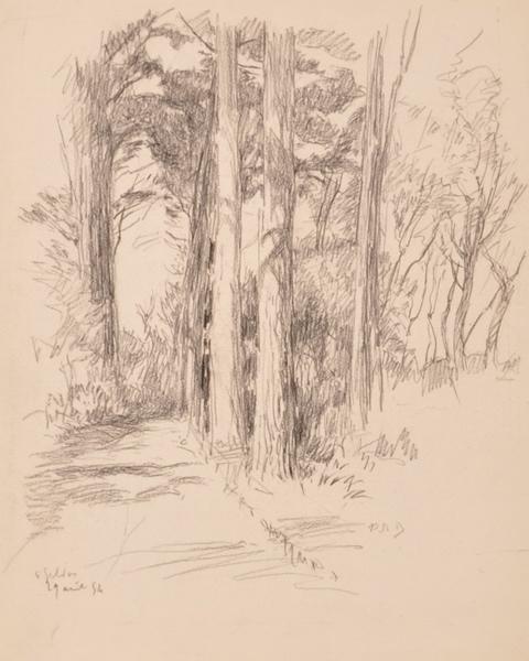 Arbres à Saint-Gildas (titre factice)_0