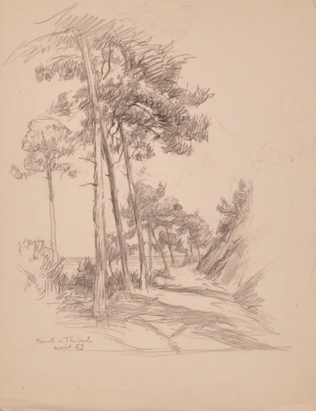 Route de Théoule (titre factice)_0