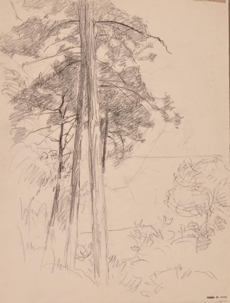 Villa sainte Camille # croquis au dos (titre factice)_1