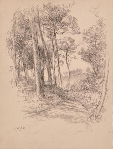 Chemin à la villa Sainte-Camille (titre factice)_0
