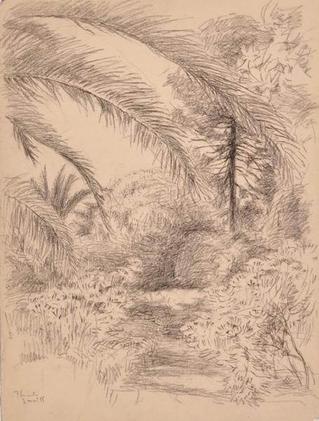 Palmiers à Théoule (titre factice)_0
