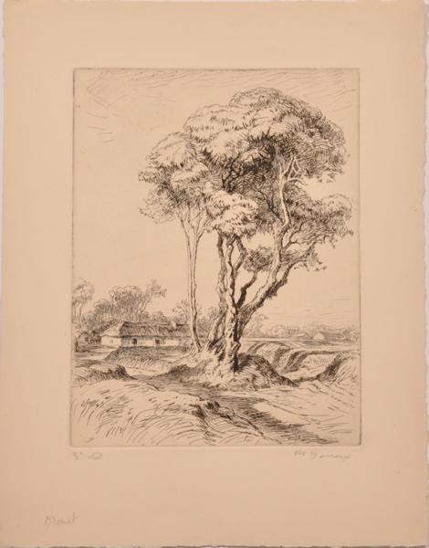 Orouet, bosquet d'arbres dans la campagne (titre factice)_0